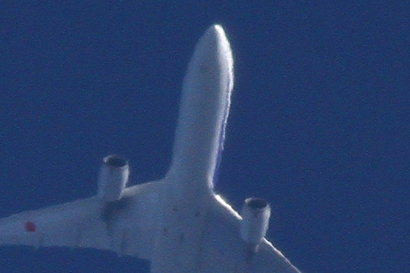 s-DPP_0828.jpg