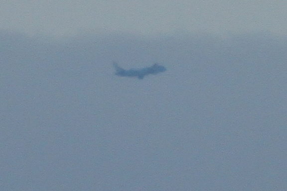 s-DPP_0834.jpg