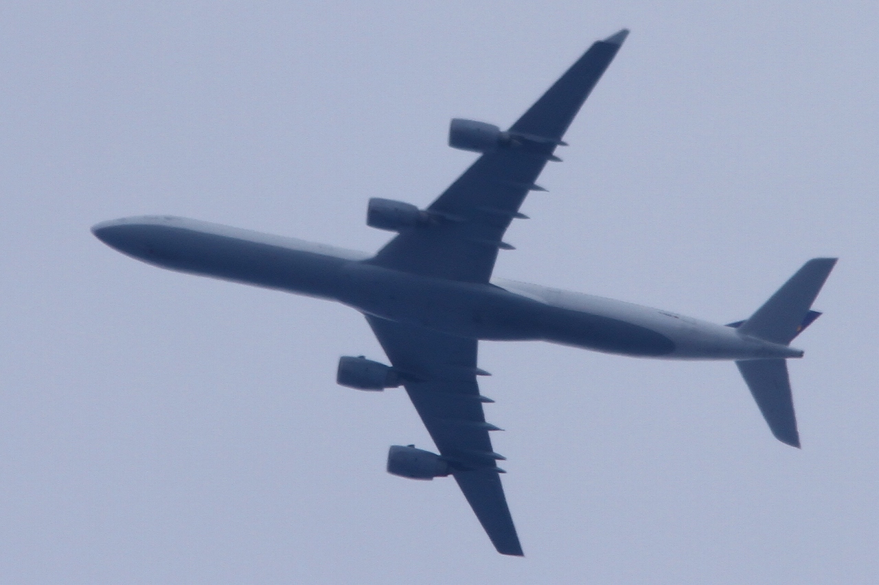 s-DPP_0835.jpg