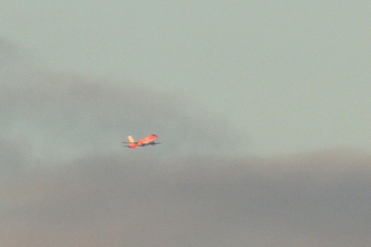 s-DPP_0837.jpg