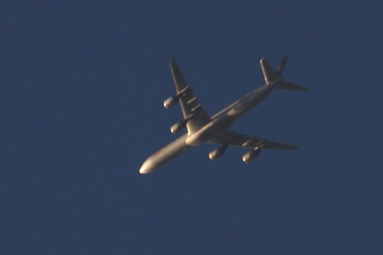 s-DPP_0849.jpg