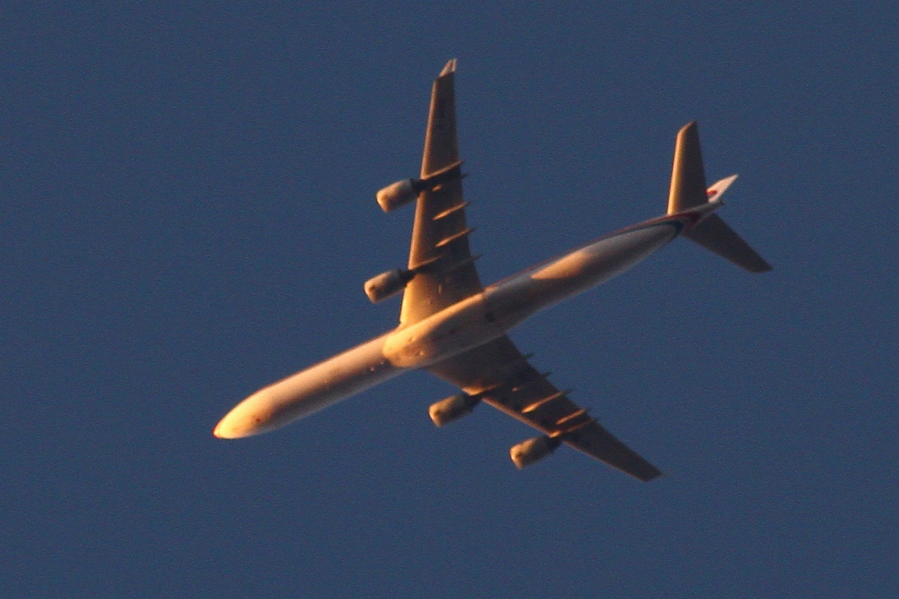 s-DPP_0858.jpg