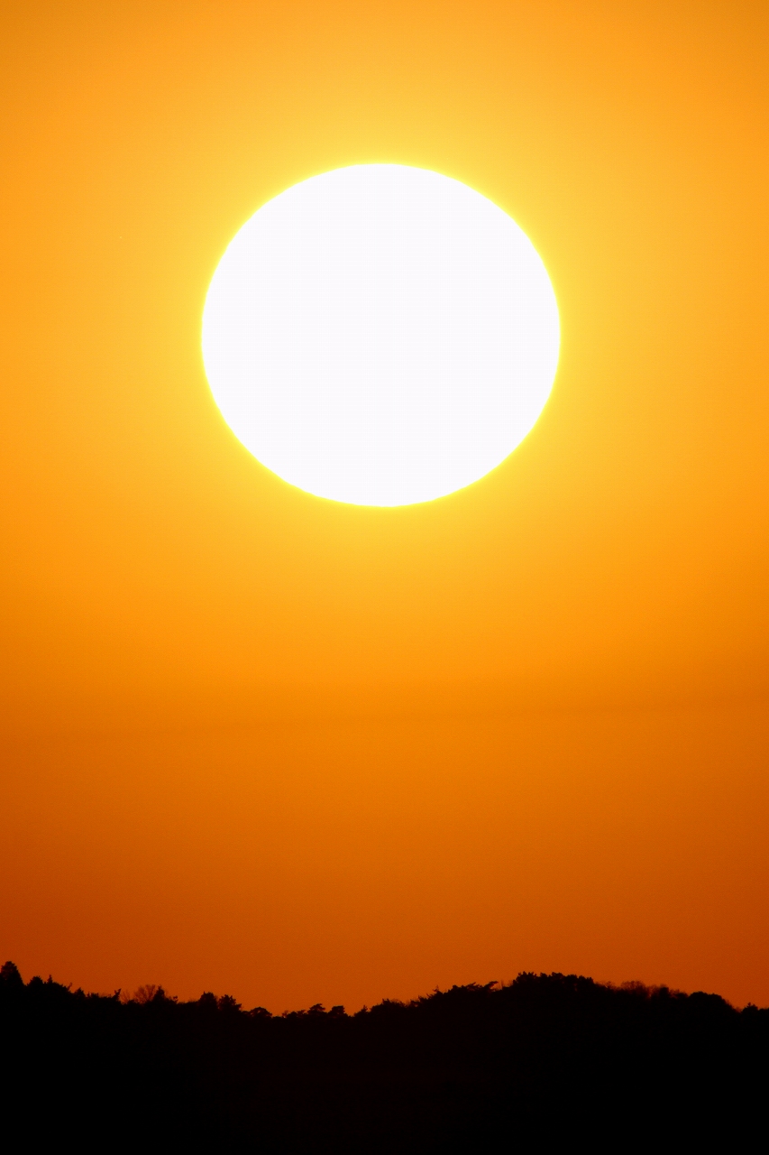 s-DPP_0861.jpg