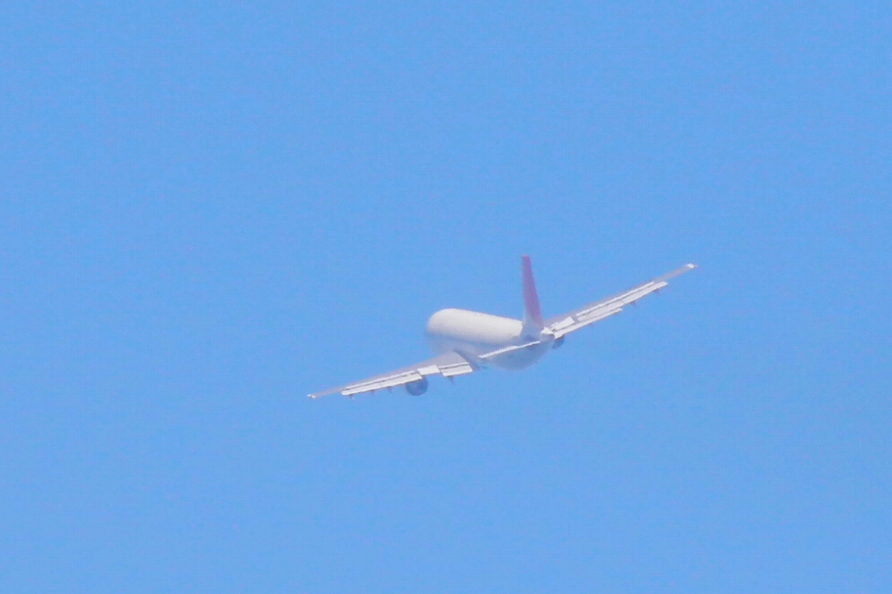 s-DPP_0867.jpg
