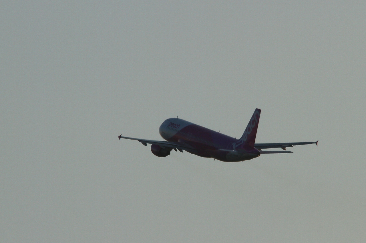 s-DPP_1159.jpg