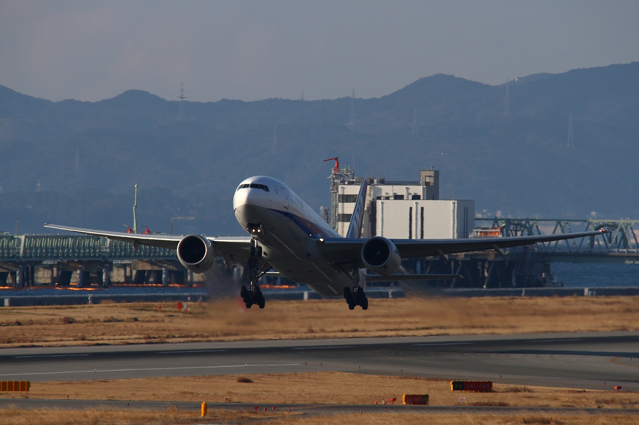 s-DPP_1164.jpg