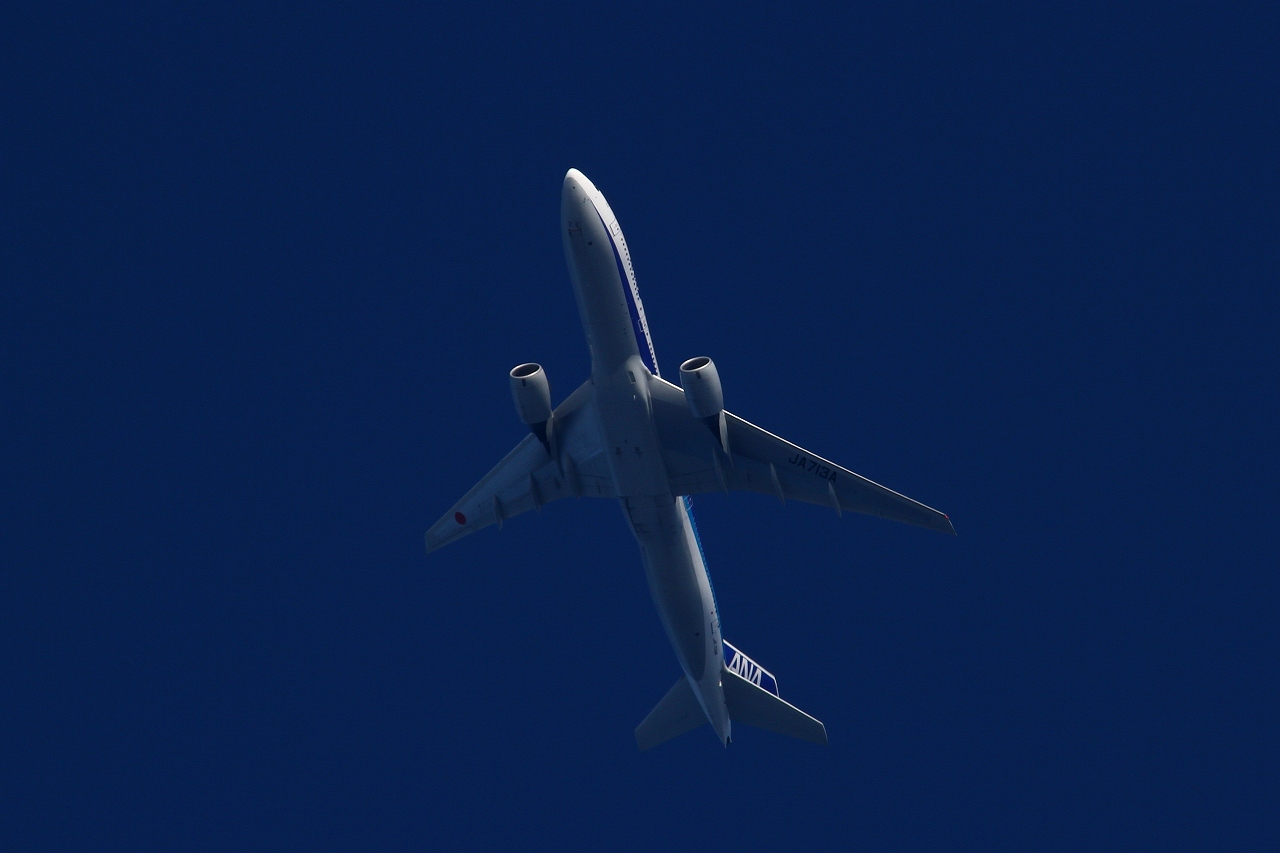 s-DPP_1168.jpg