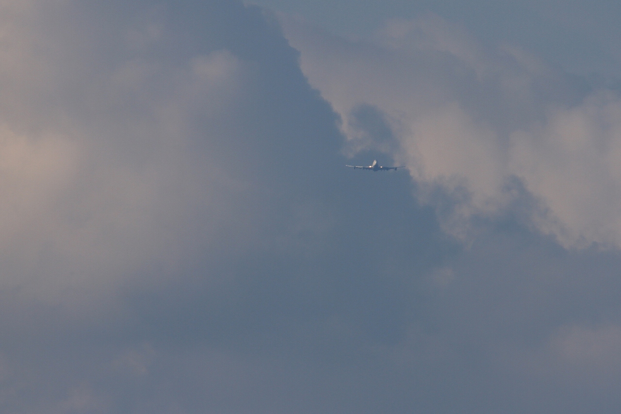 s-DPP_1169.jpg
