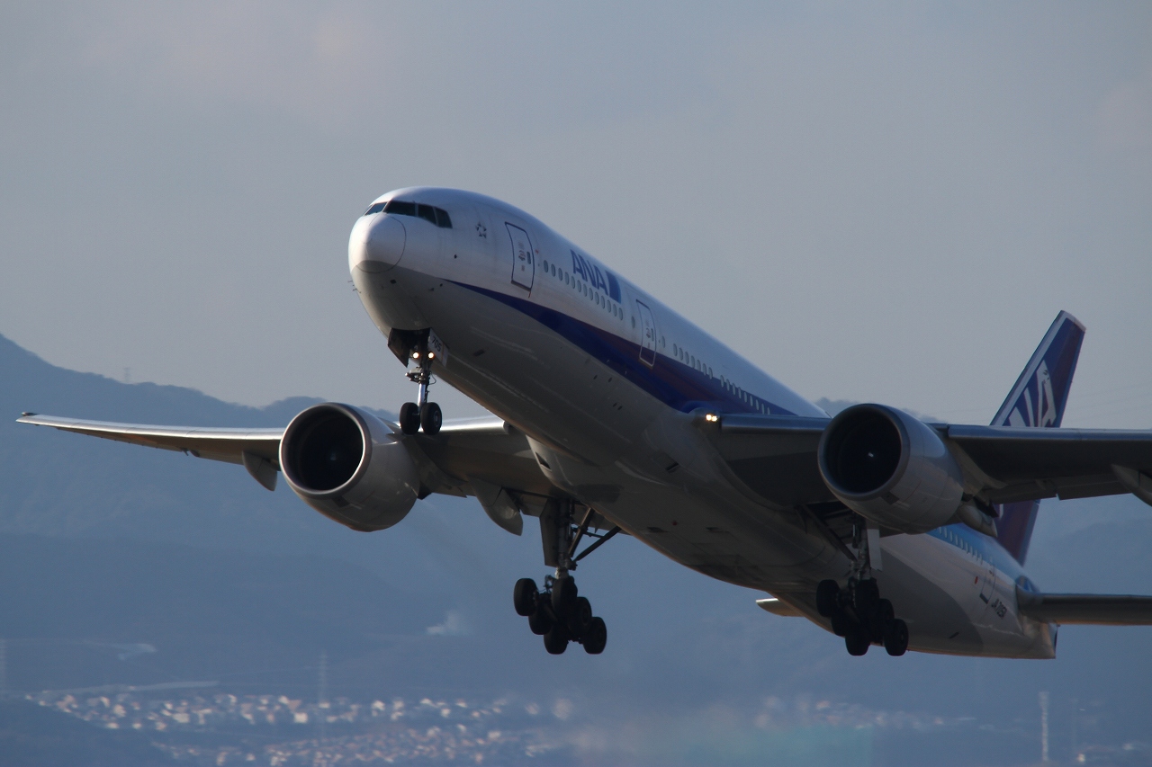 s-DPP_1176.jpg