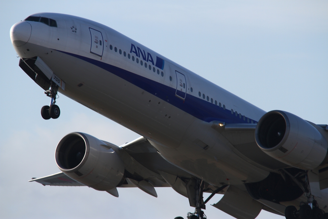 s-DPP_1177.jpg