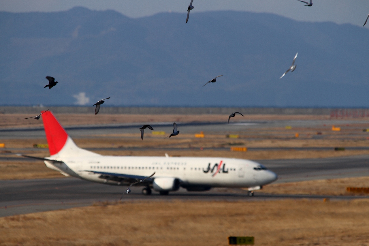 s-DPP_1183.jpg