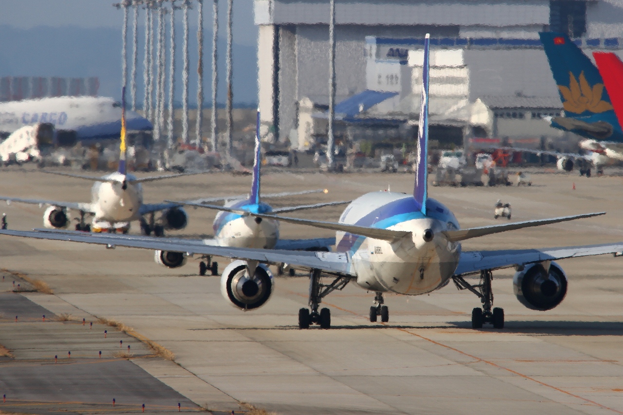 s-DPP_1184.jpg