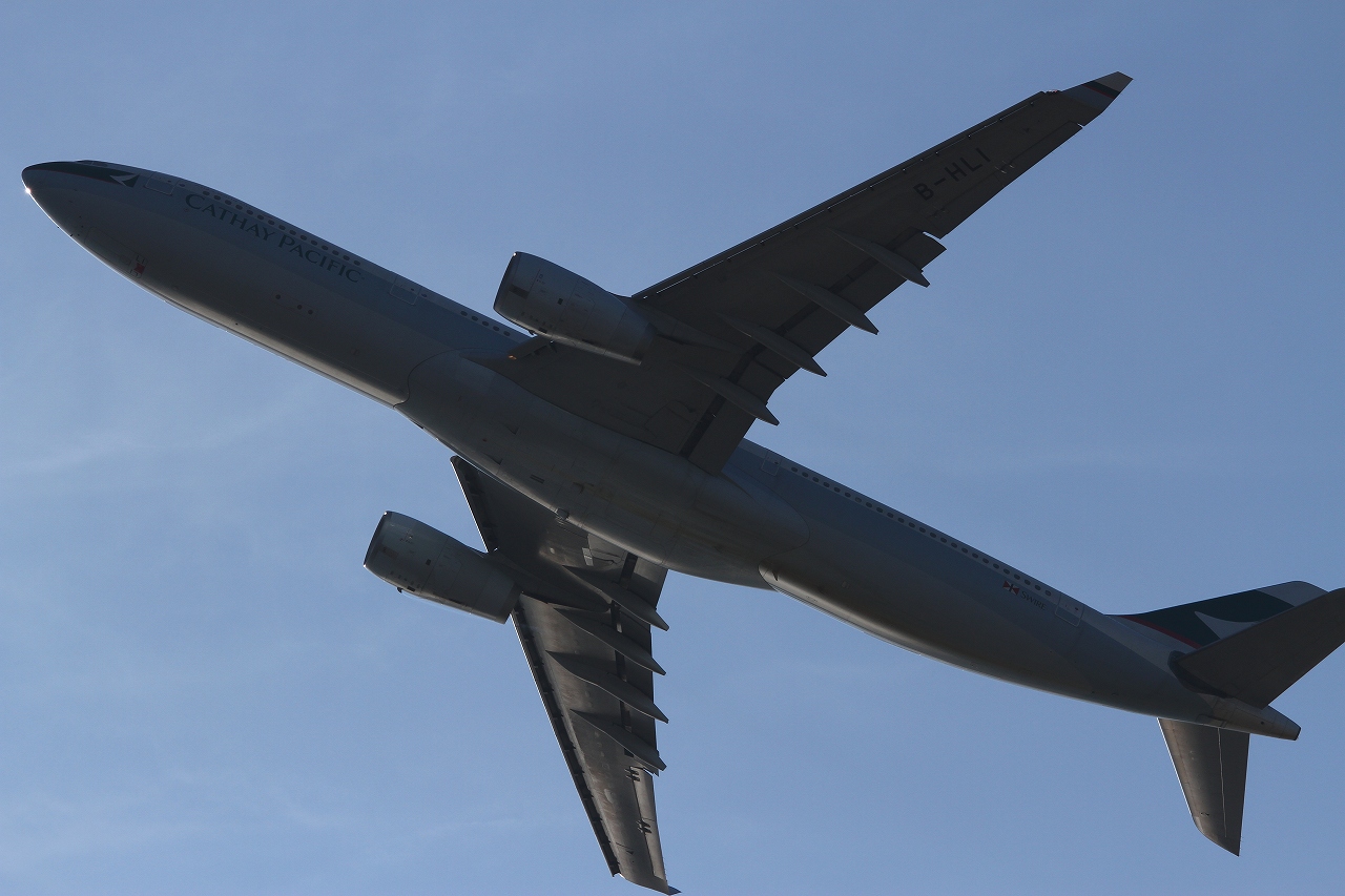 s-DPP_1210.jpg
