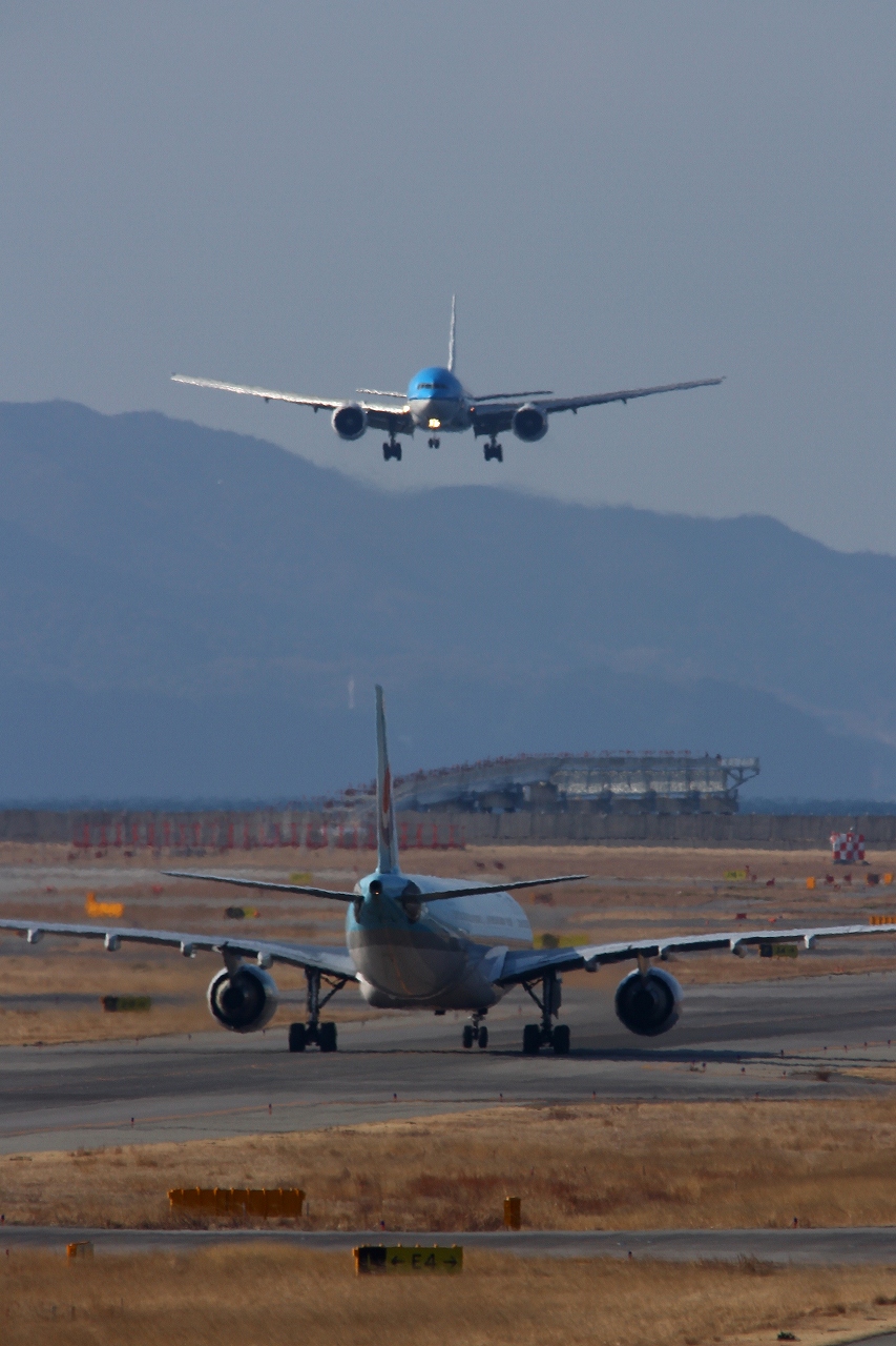 s-DPP_1211.jpg