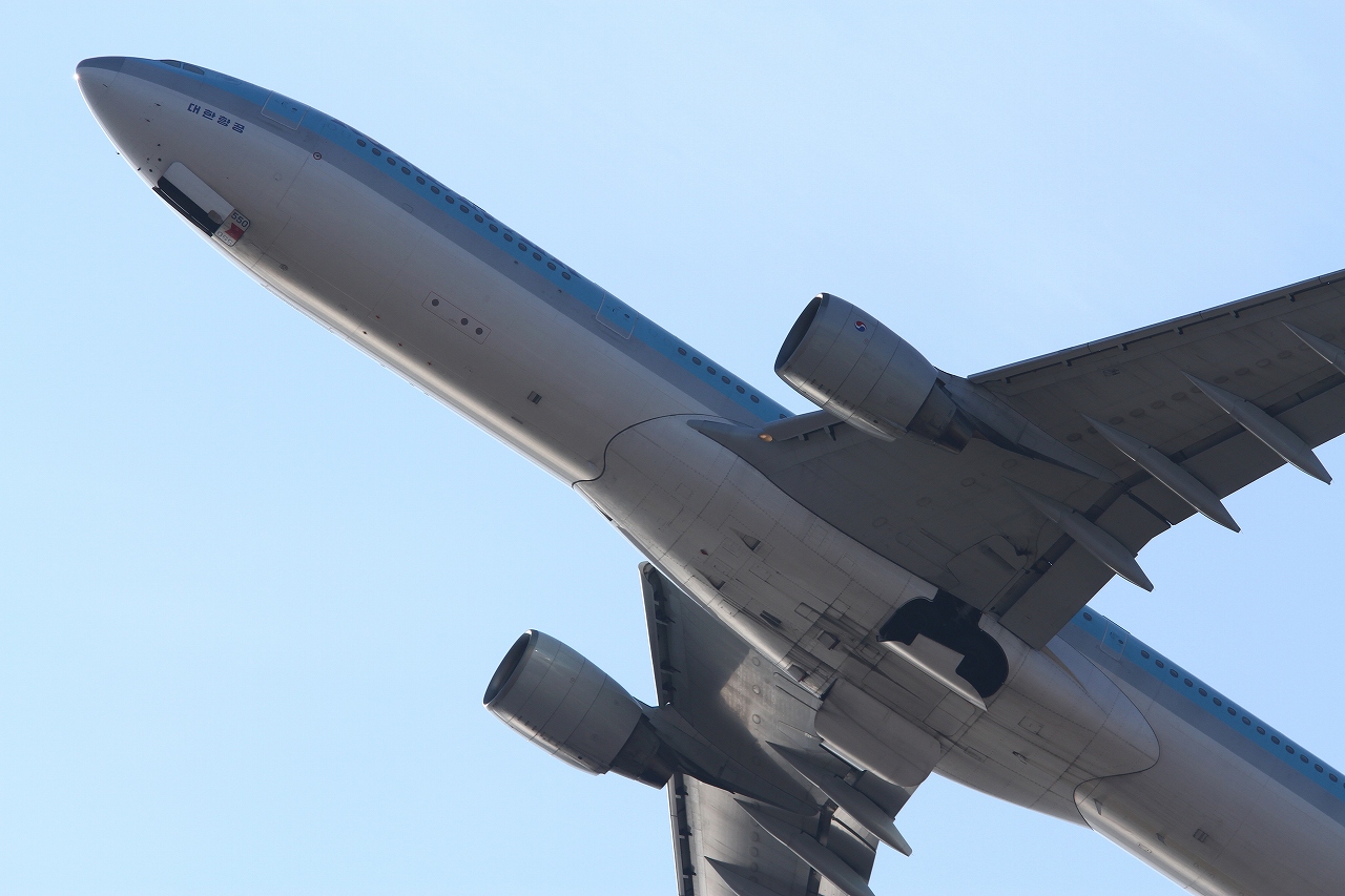 s-DPP_1215.jpg