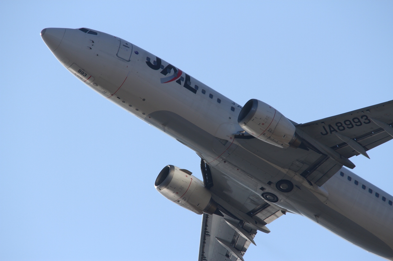 s-DPP_1216.jpg
