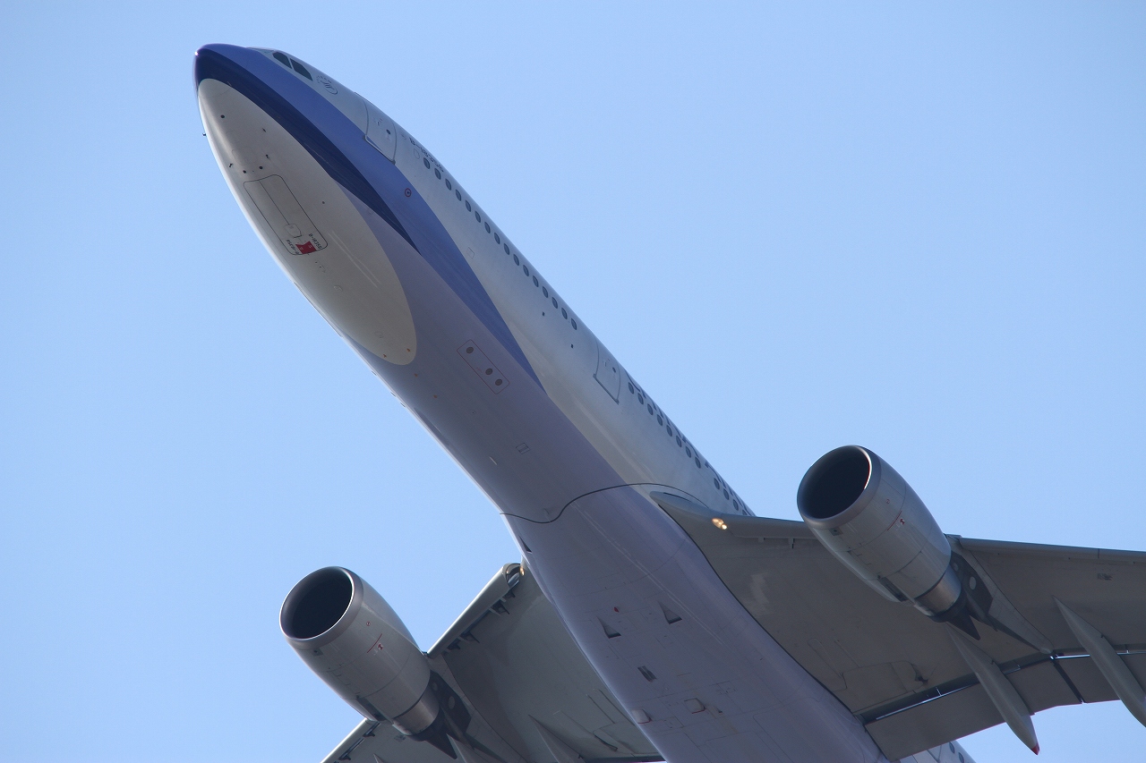 s-DPP_1220.jpg