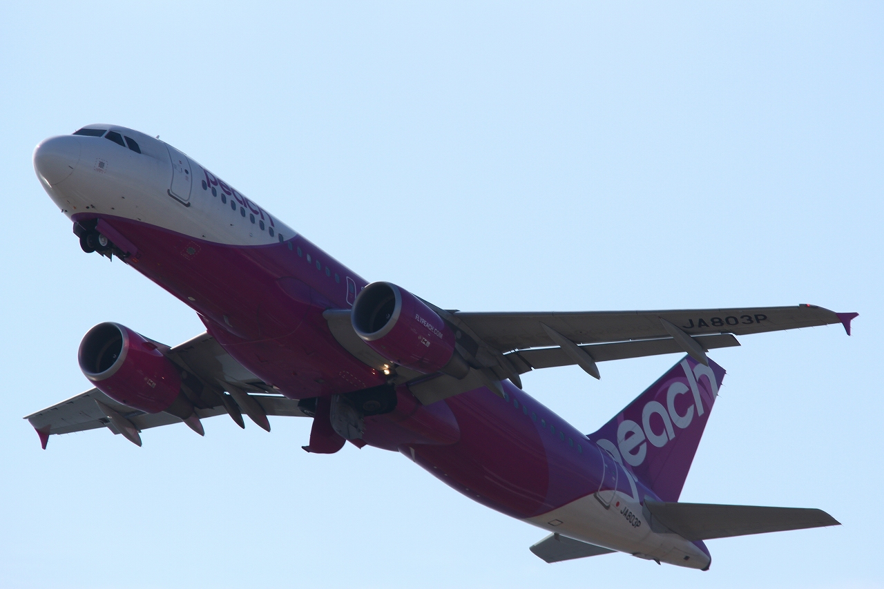 s-DPP_1236.jpg