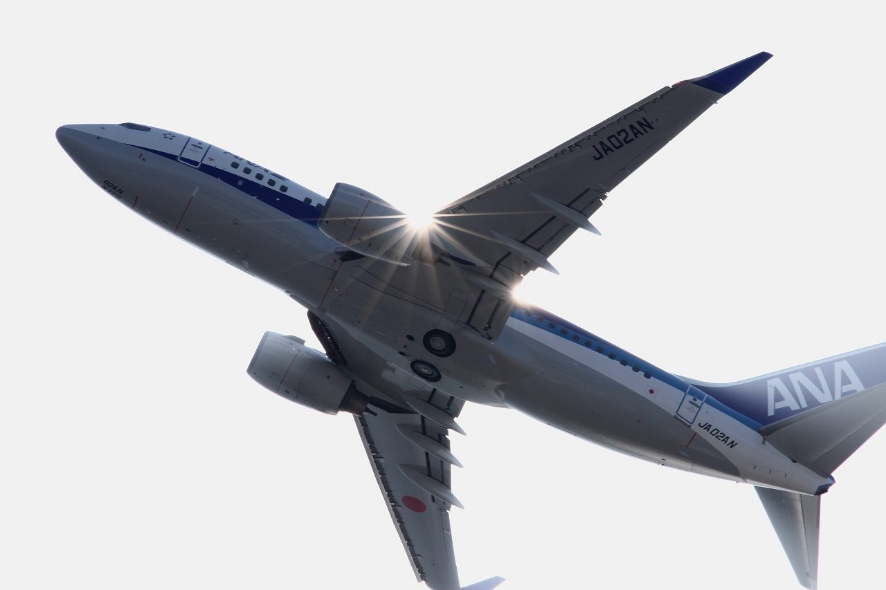 s-DPP_1258.jpg