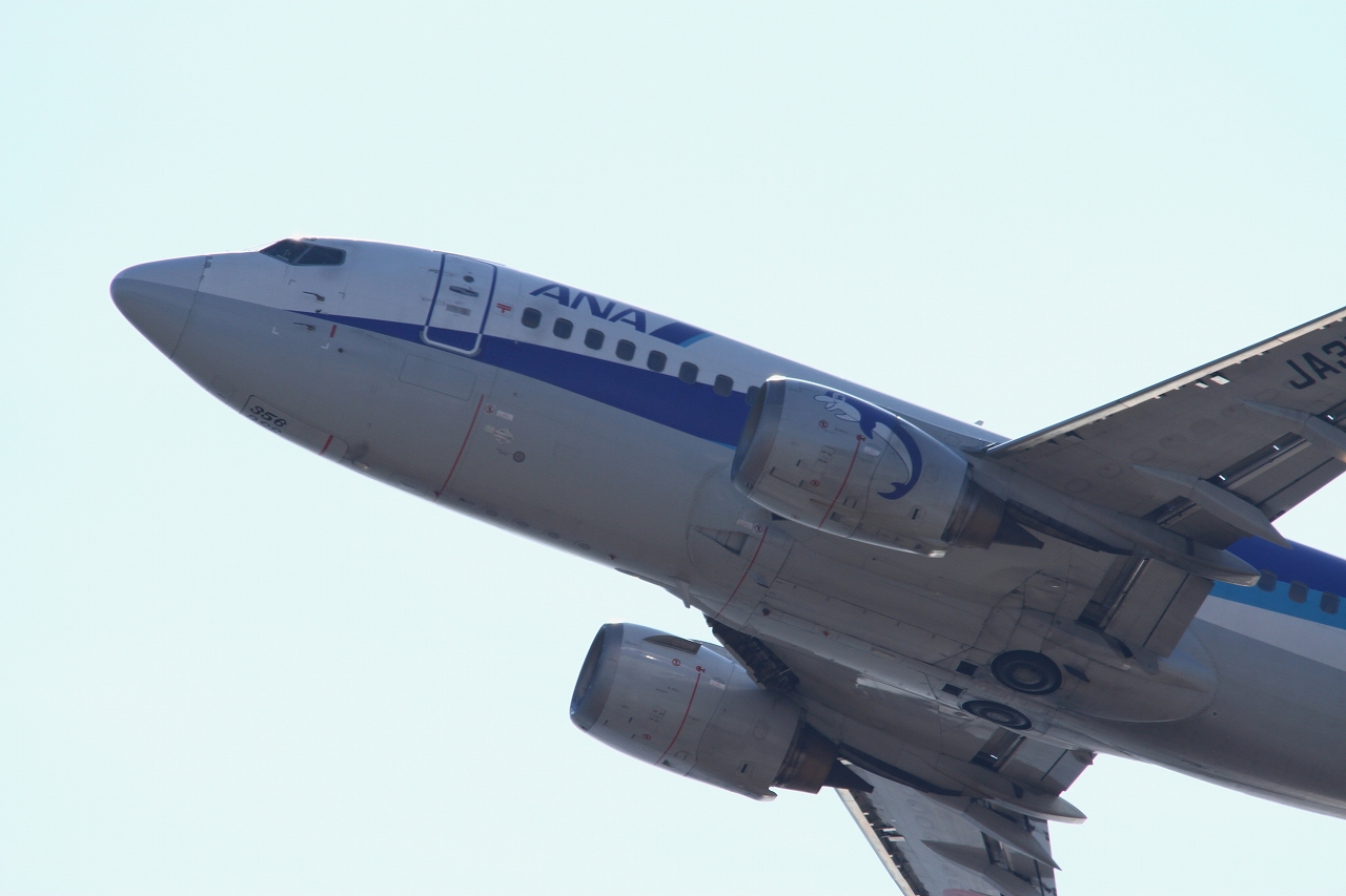 s-DPP_1261.jpg