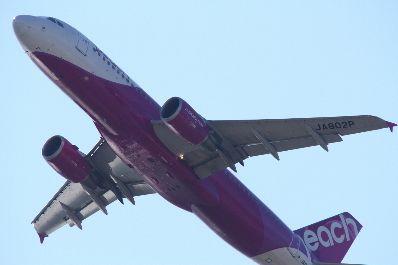 s-DPP_1284.jpg