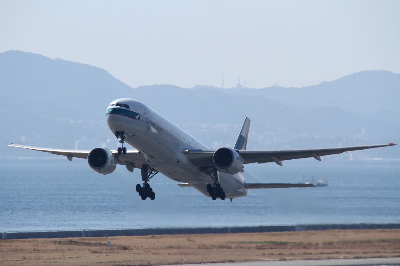 s-DPP_1292.jpg