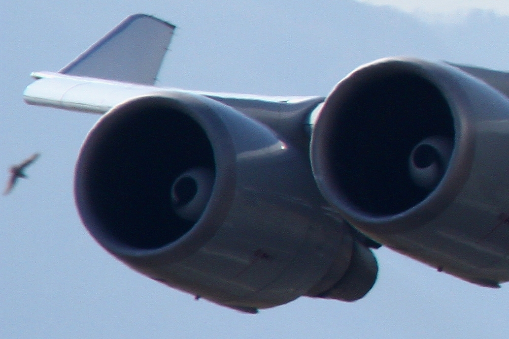 s-DPP_1302.jpg
