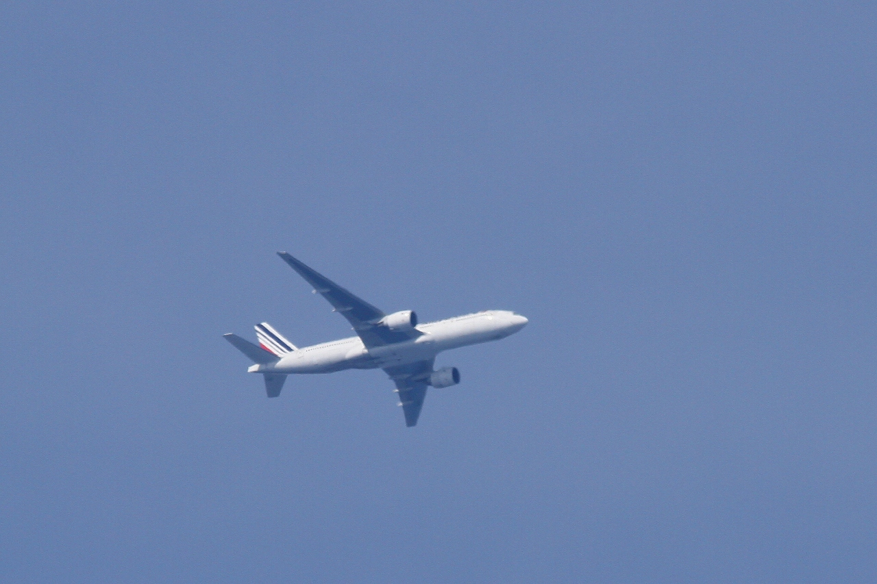 s-DPP_1335.jpg
