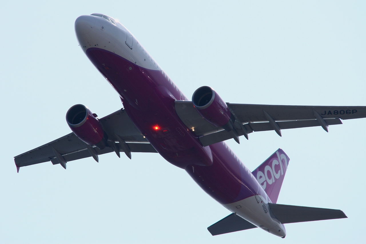 s-DPP_1355.jpg