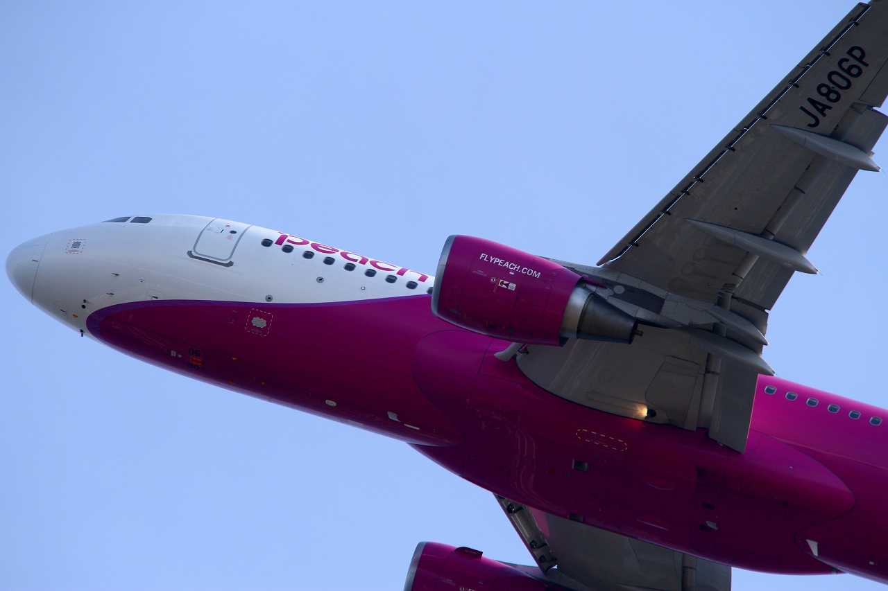 s-DPP_1356.jpg
