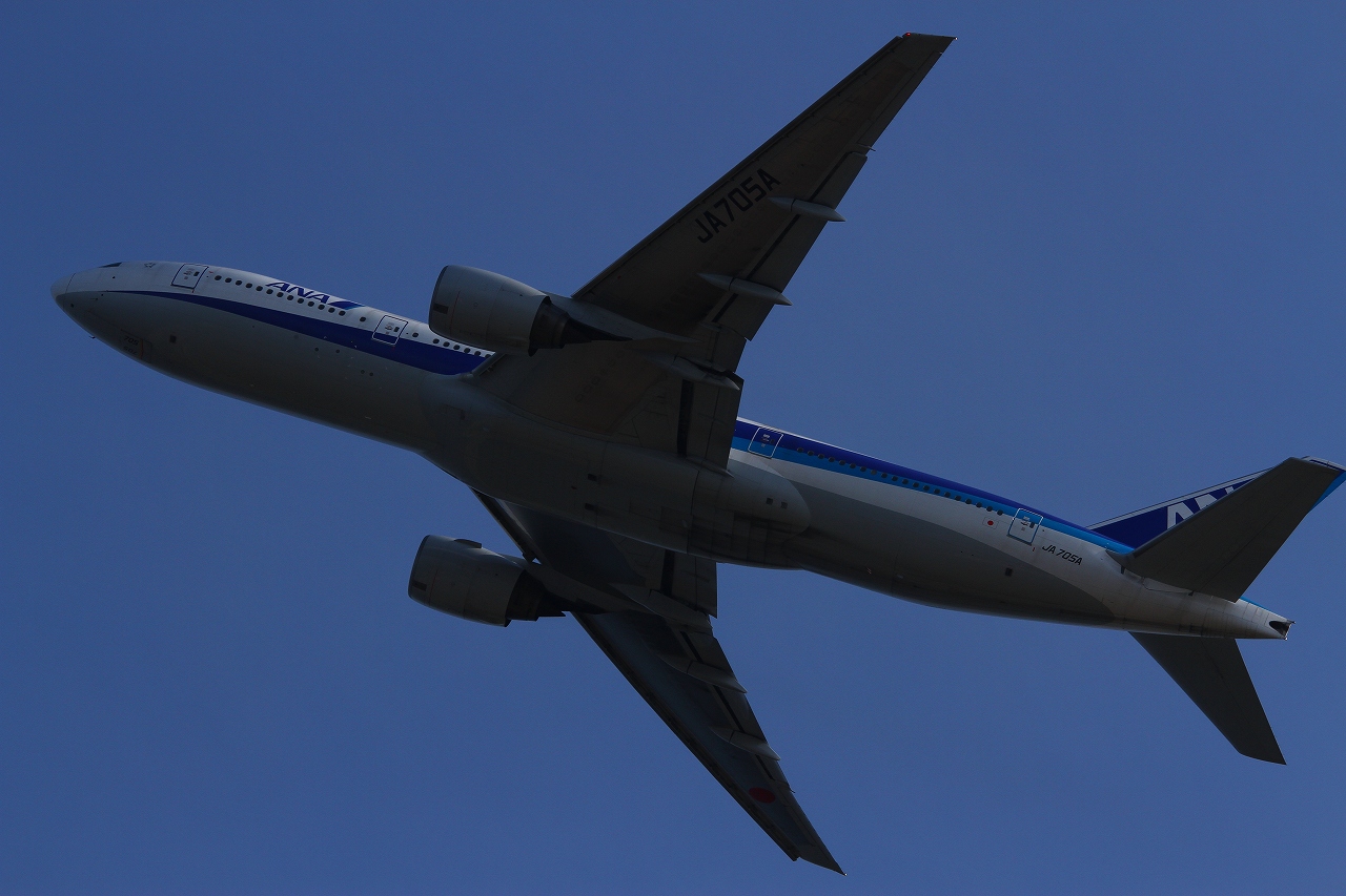 s-DPP_1368.jpg