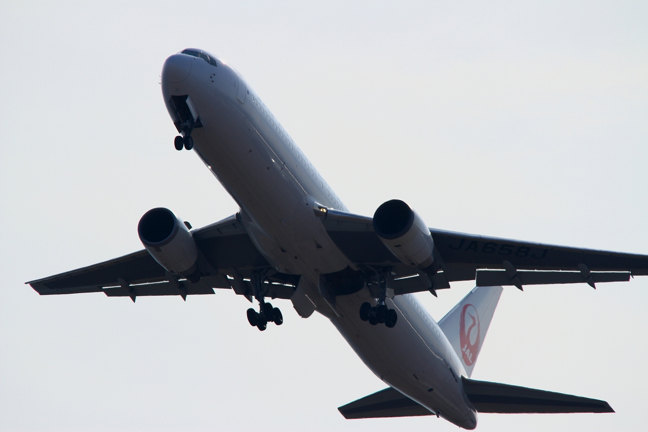 s-DPP_1369.jpg