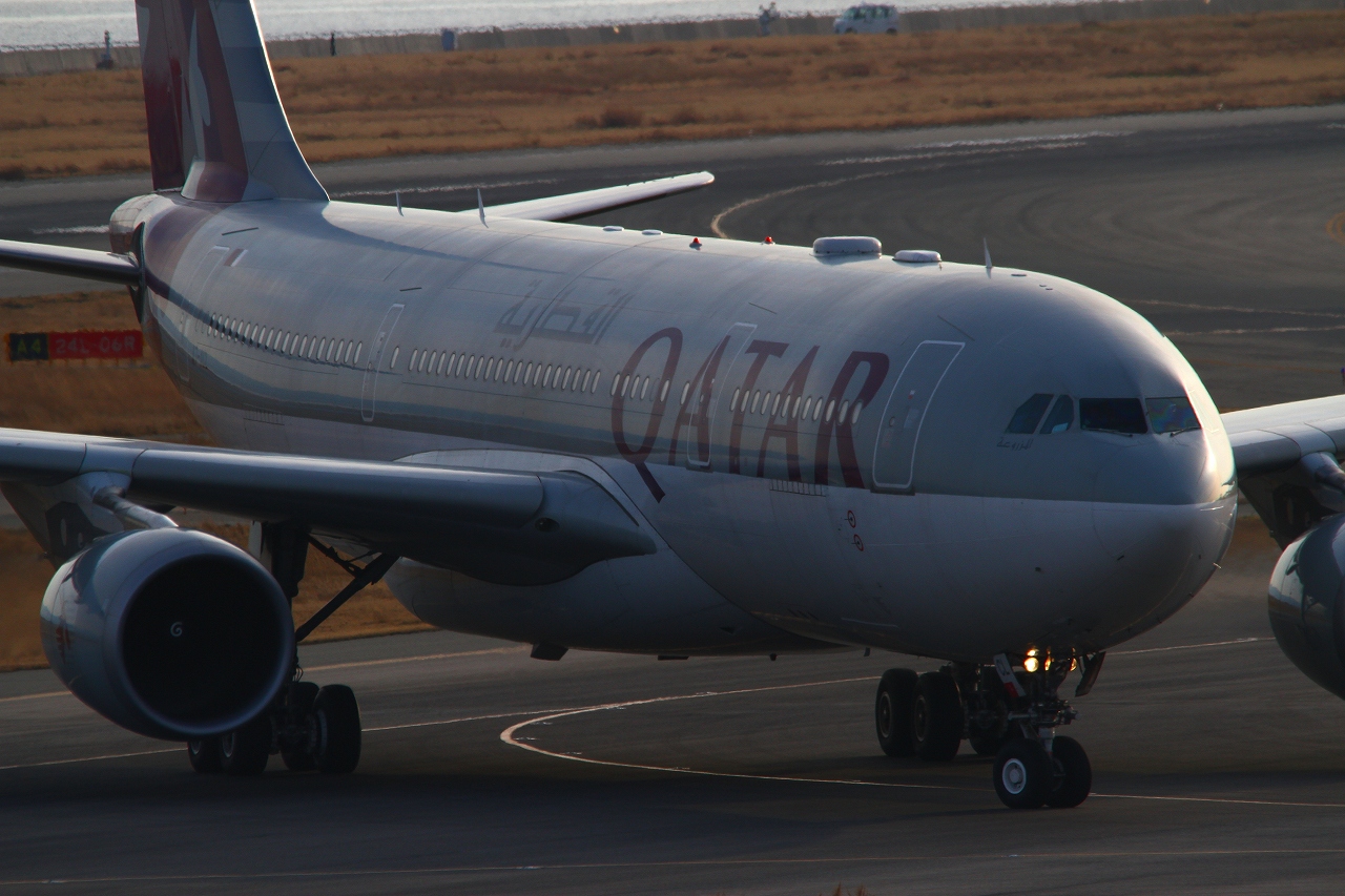 s-DPP_1388.jpg