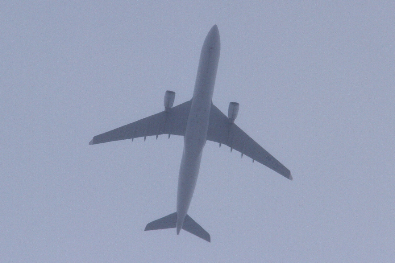 s-DPP_1404.jpg