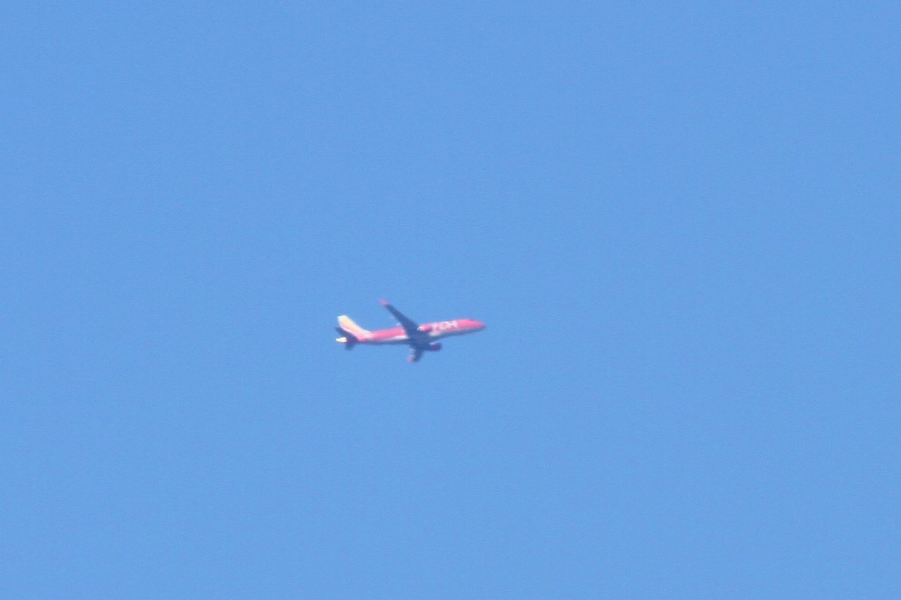 s-DPP_1435.jpg