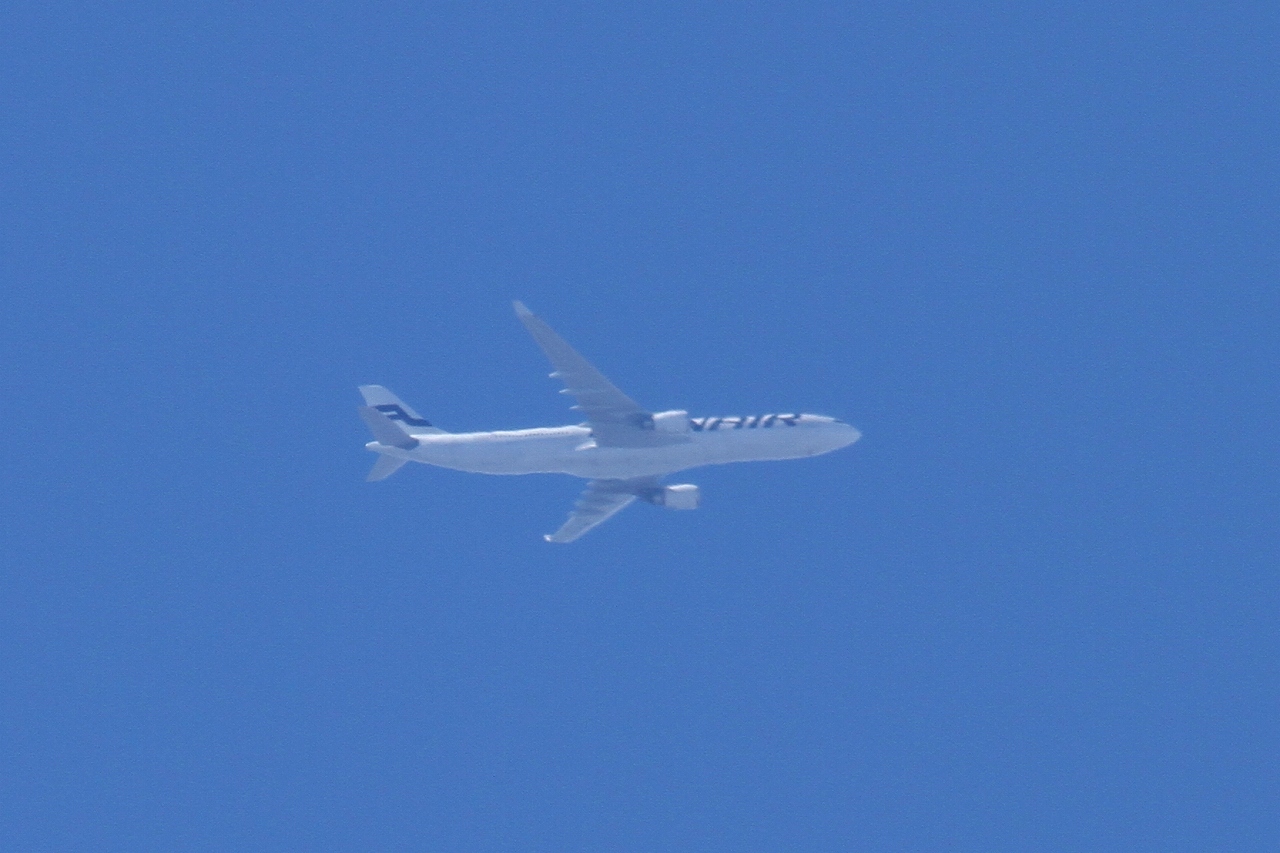 s-DPP_1436.jpg
