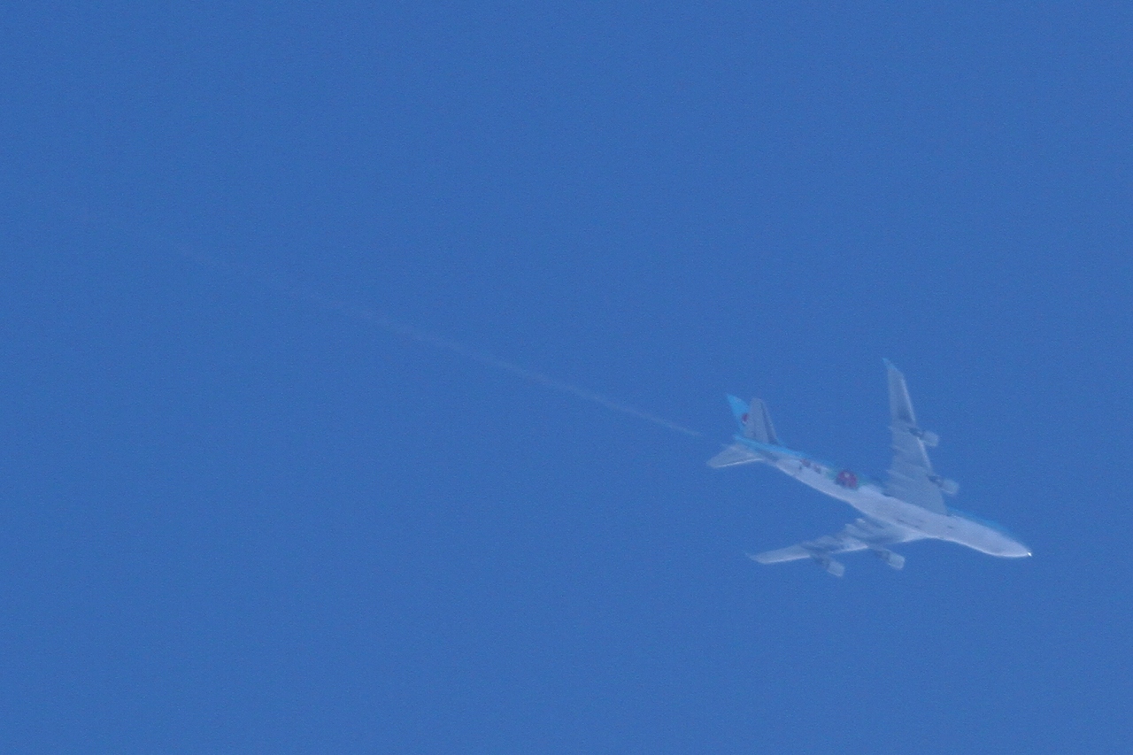 s-DPP_1438.jpg