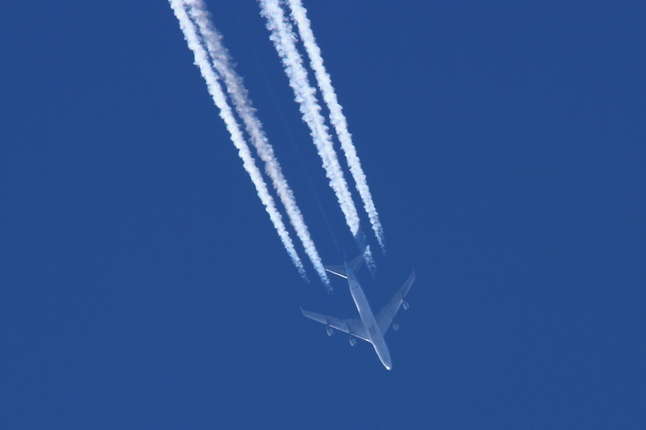 s-DPP_1447.jpg