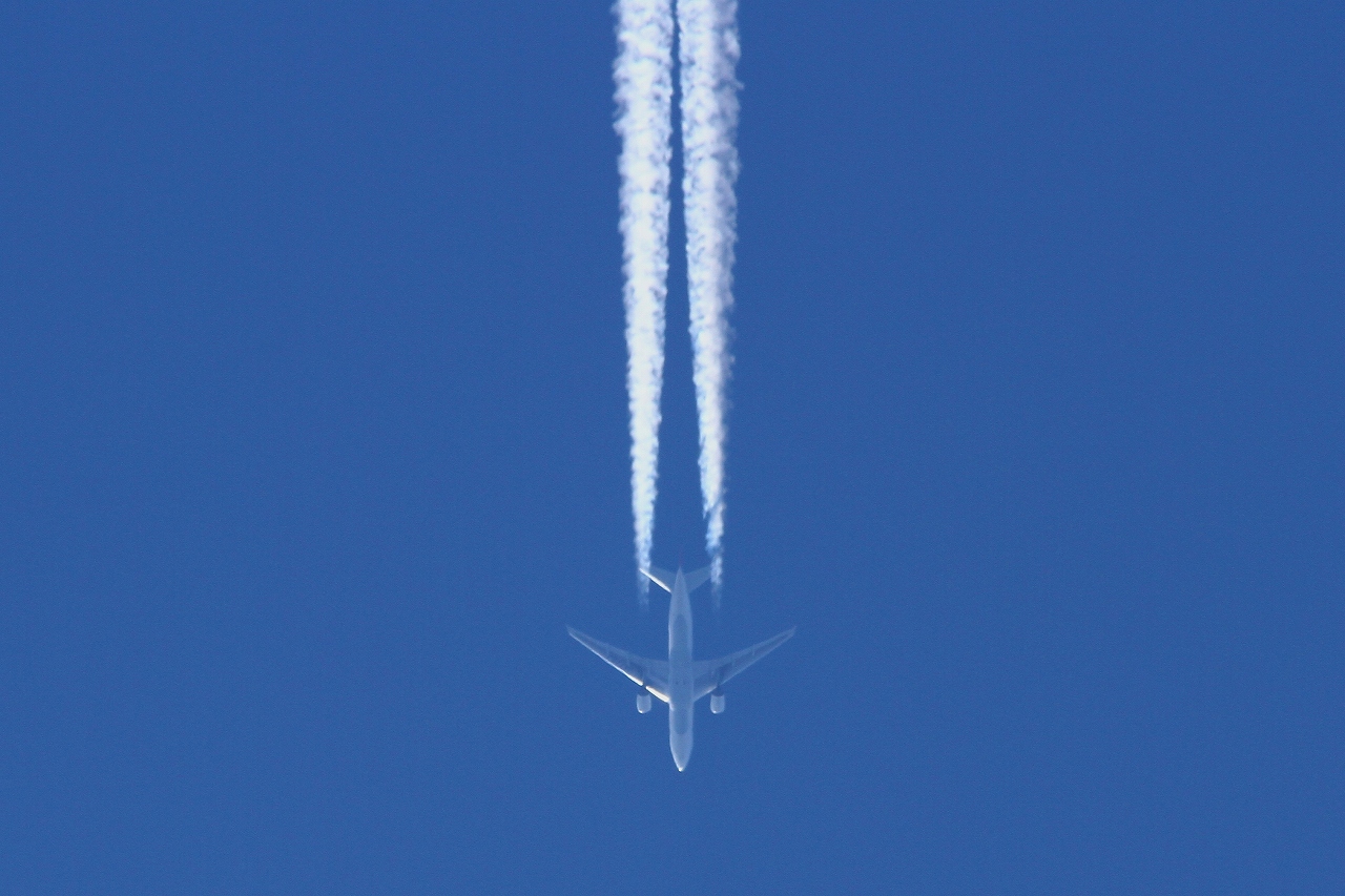 s-DPP_1448.jpg