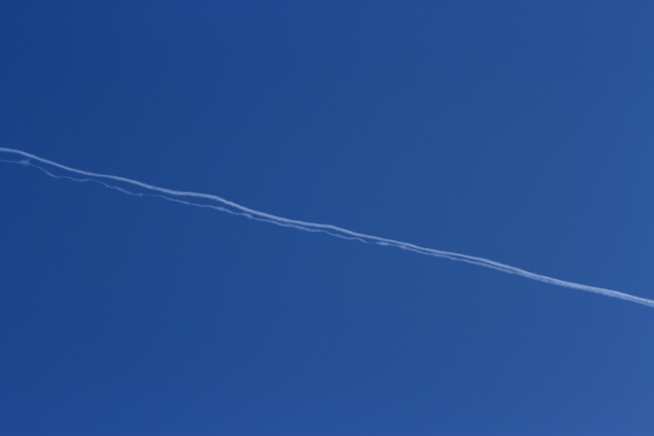 s-DPP_1450.jpg