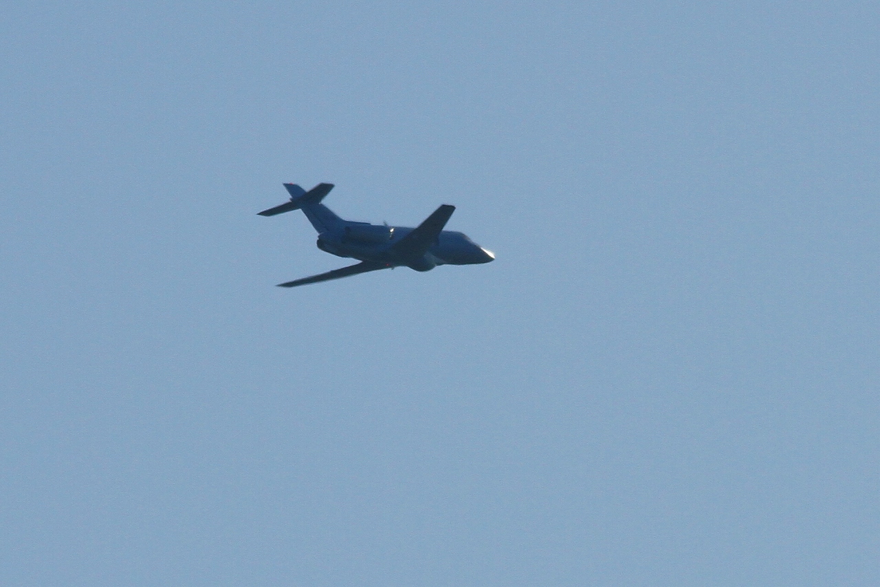 s-DPP_1451.jpg