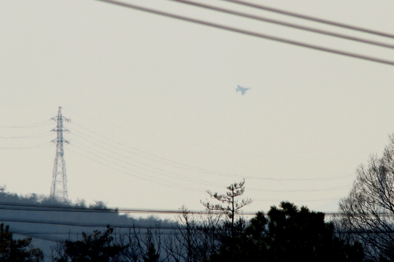 s-DPP_1452.jpg