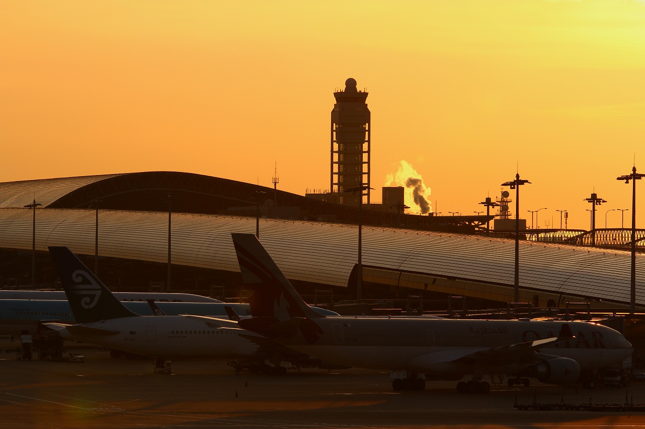s-DPP_1462.jpg
