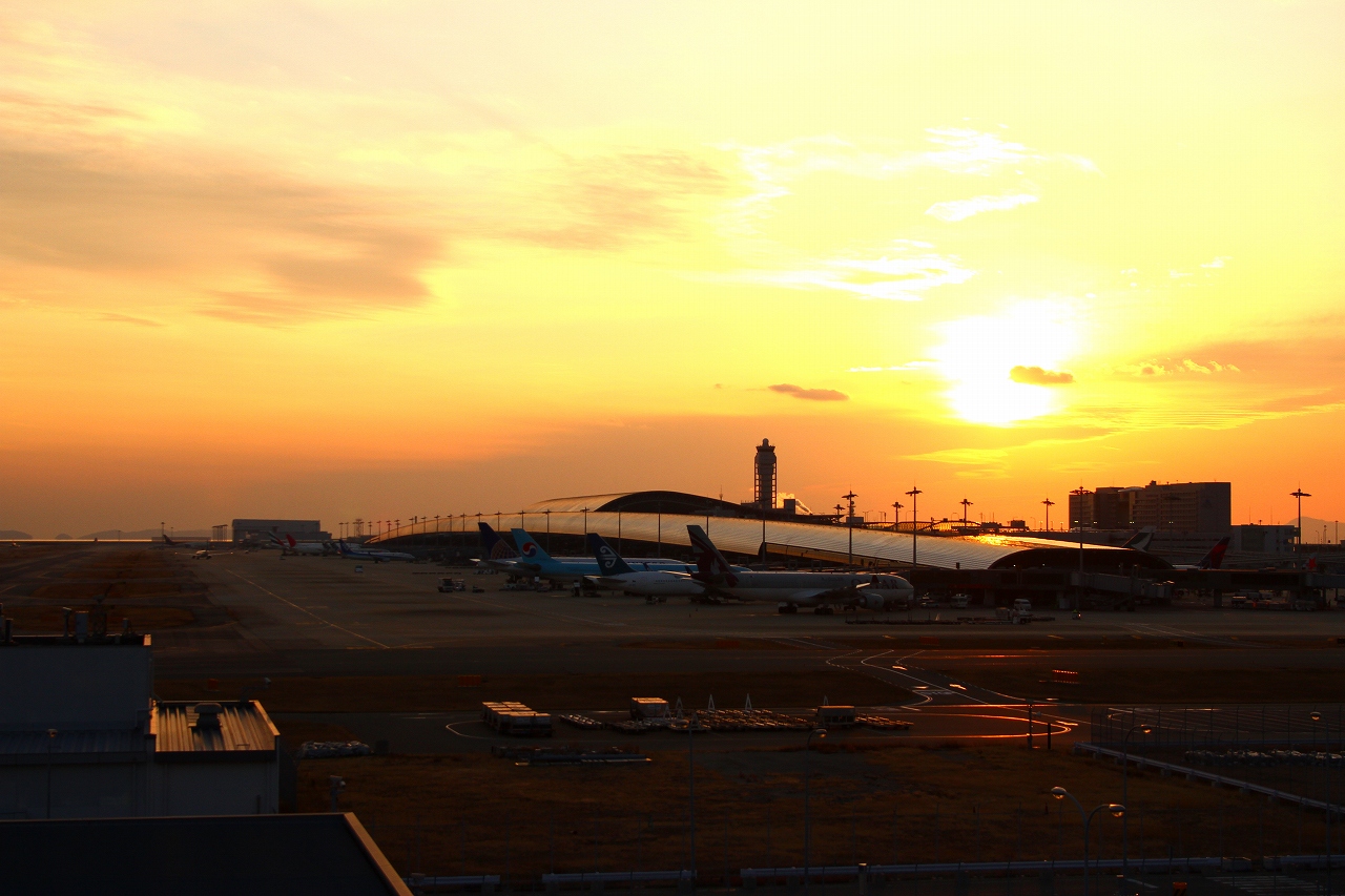 s-DPP_1464.jpg