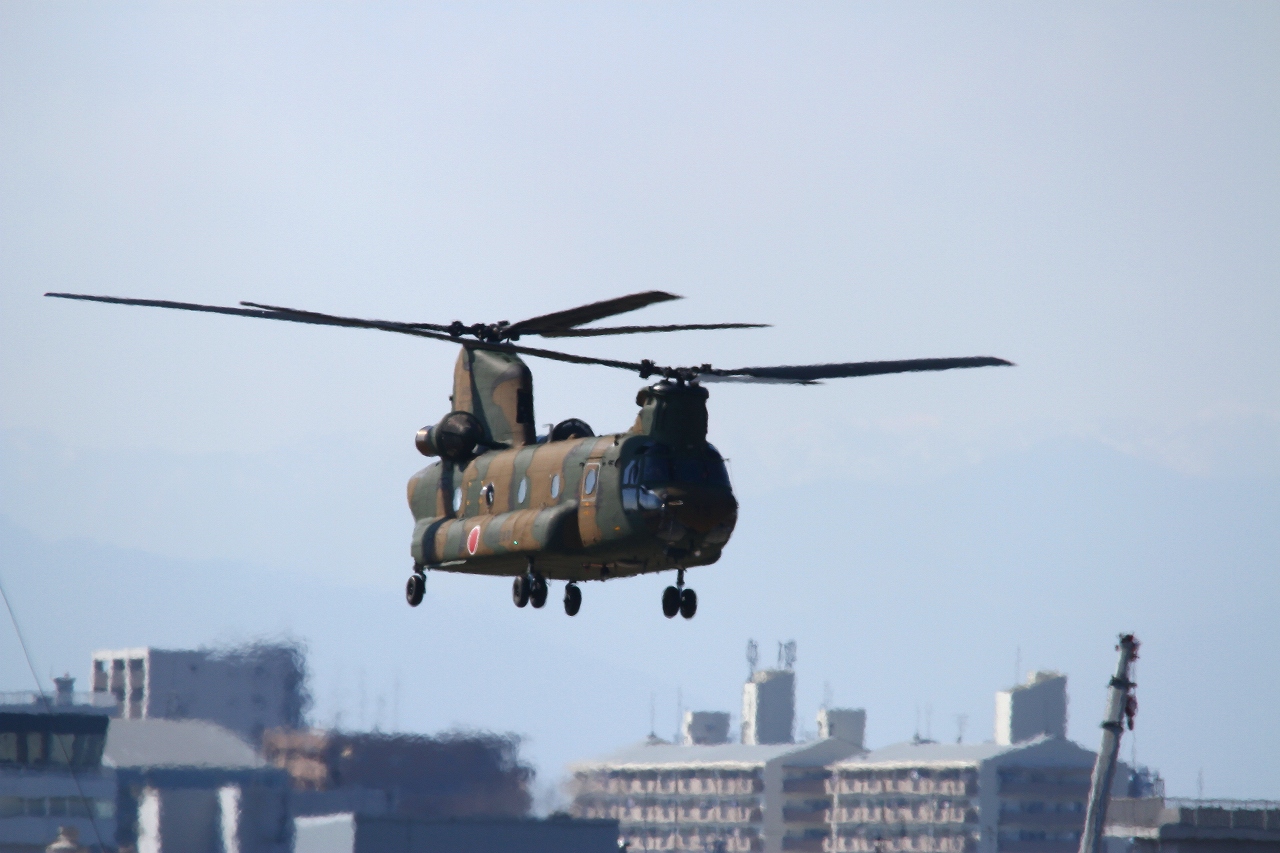 s-DPP_1569.jpg