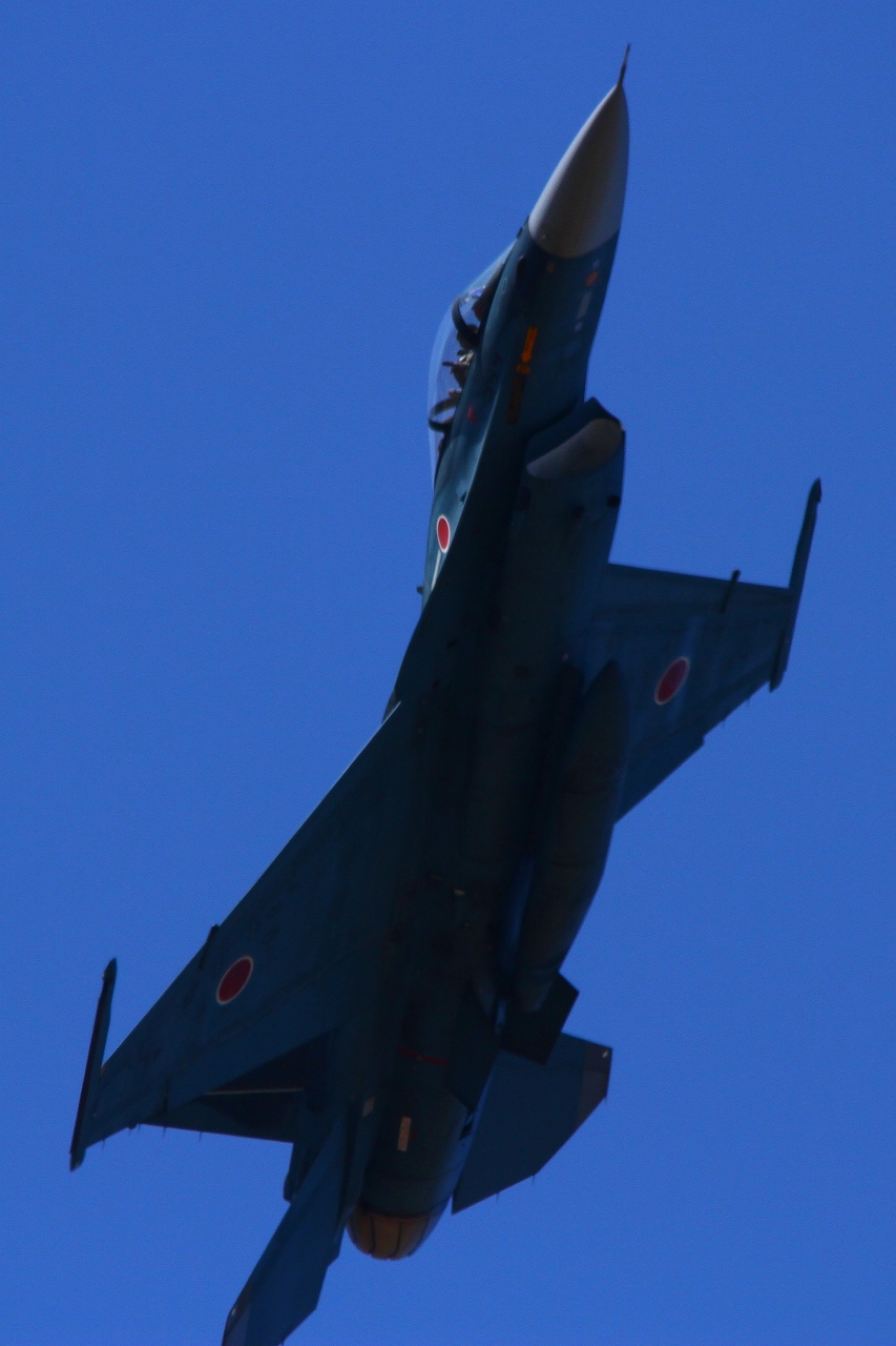 s-DPP_1787.jpg