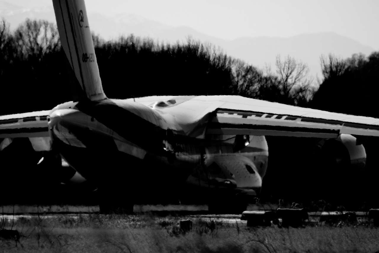 s-DPP_1806.jpg