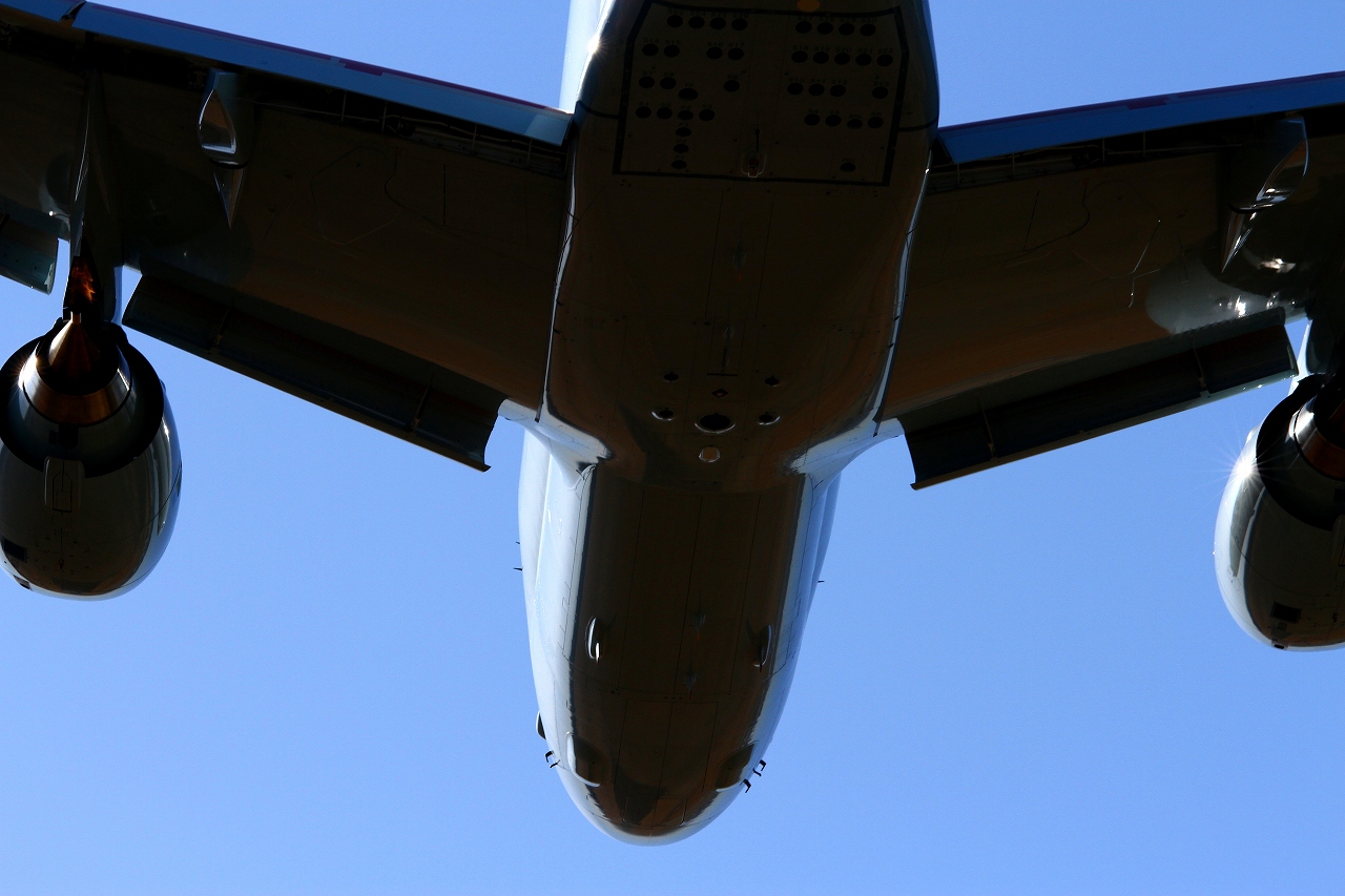 s-DPP_1814.jpg