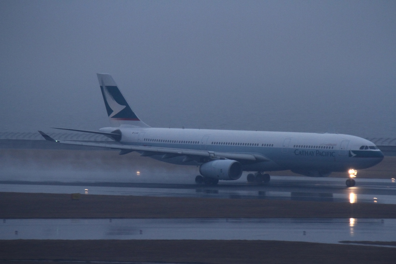 s-DPP_1902.jpg
