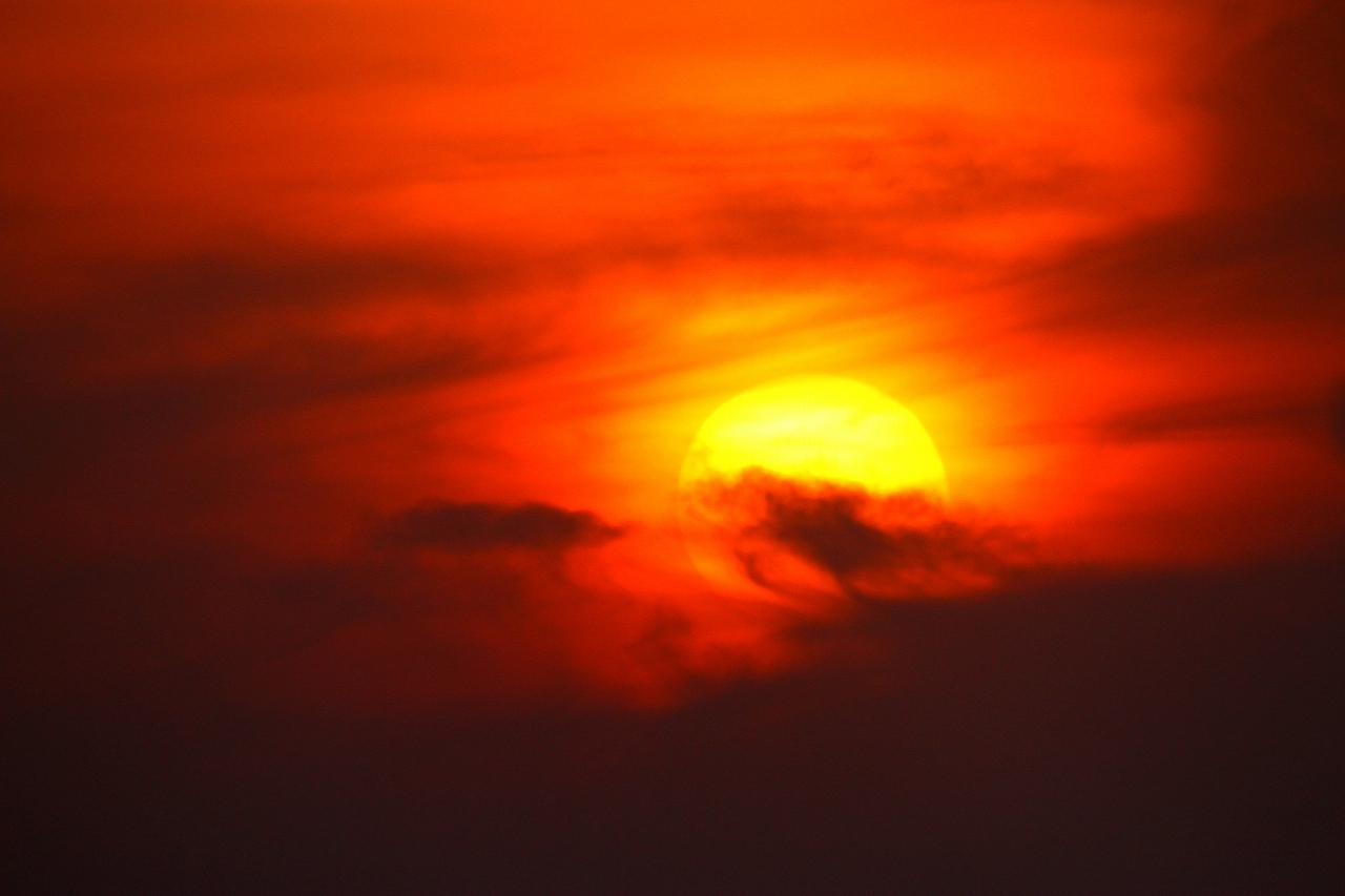 s-DPP_2061.jpg